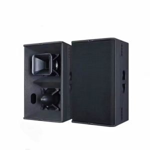 Double 12" two way remote speaker （T24N）