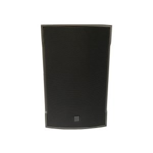 Single 12" full frequency speaker （E12 E15）