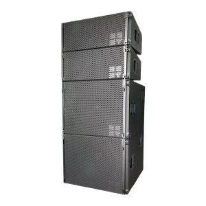 Double 10” " line array speaker (V810)